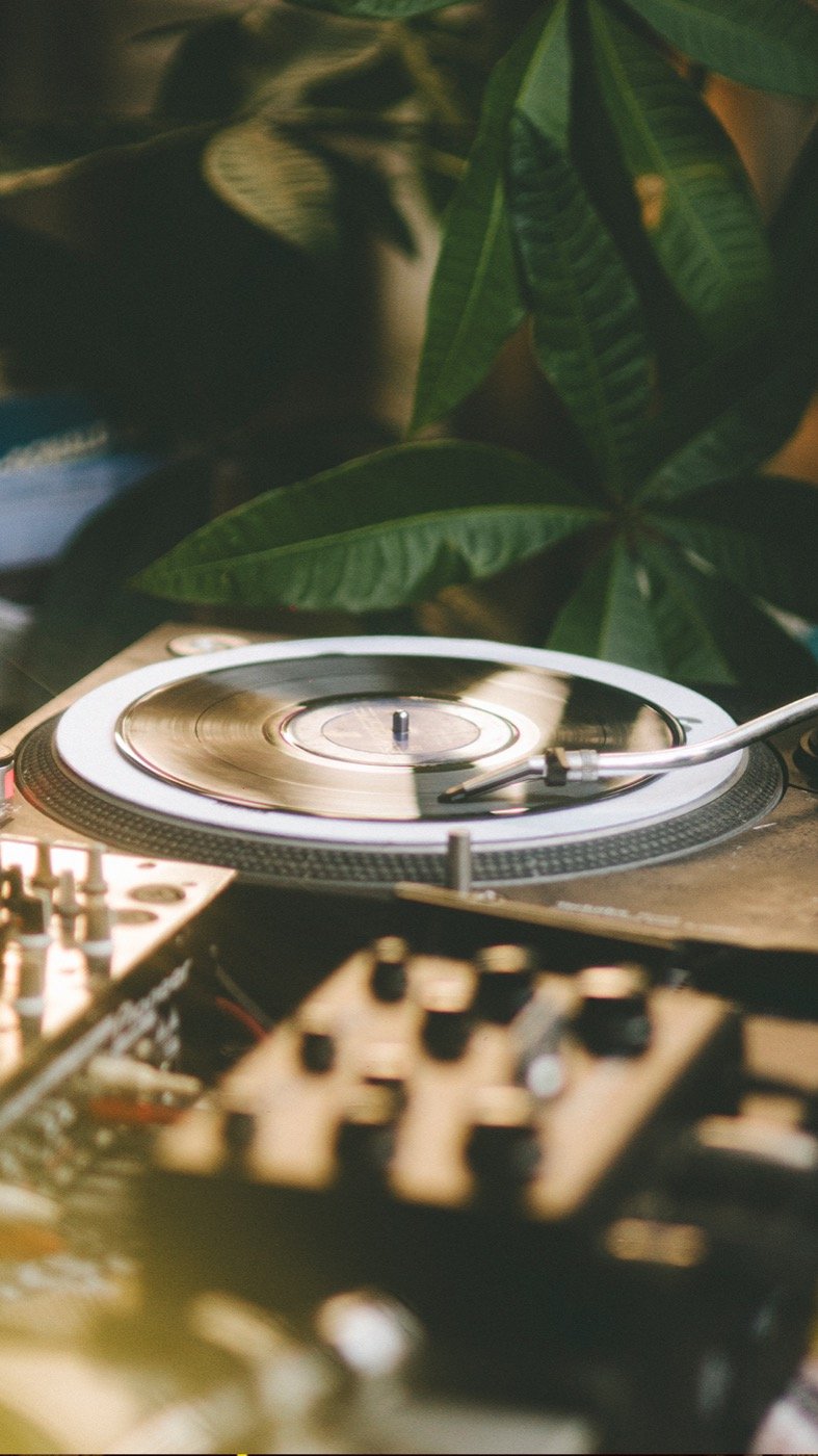 turntable with tropical leaves — the storë